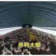 在保证基础质量的前提下