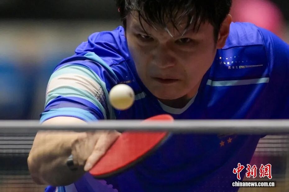 樊振东全运会卫冕男单冠军 留洋归来状态稳定